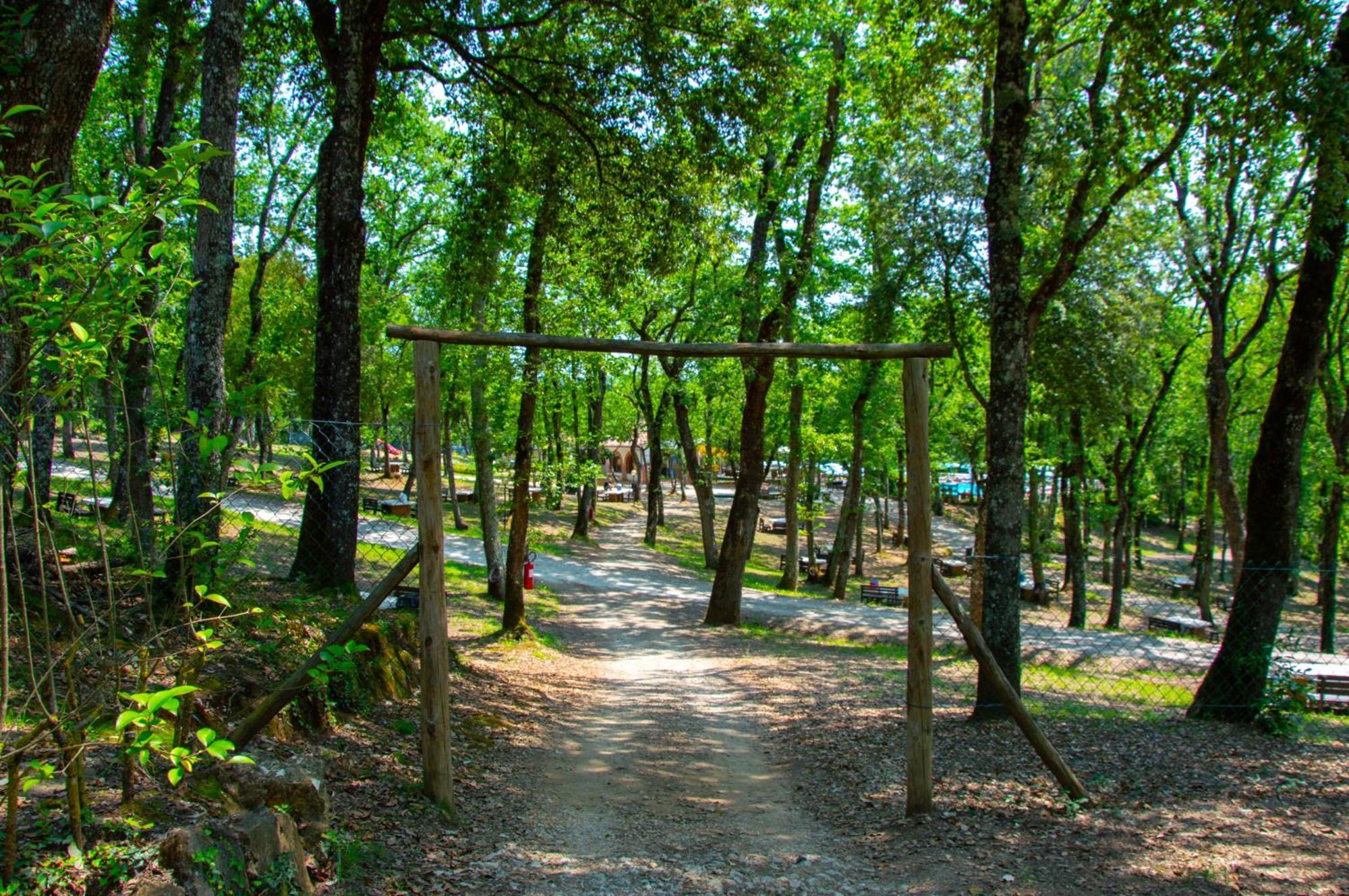 קסטלינה אין קיאנטי Luxor Chianti Glamping Village מראה חיצוני תמונה